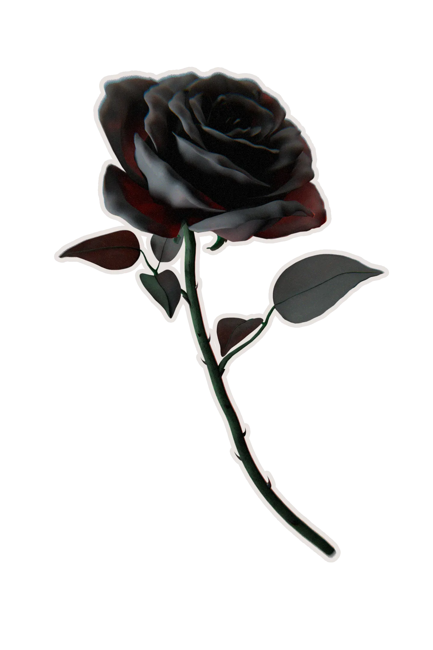 Eine schwarze Rose